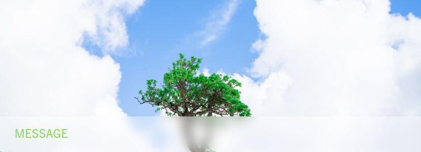 沖縄県宜野湾市・うるま市で展開する訪問介護TREE 公式サイト｜MESSAGE（企業メッセージ）ページ内MESSAGEの挿入画像