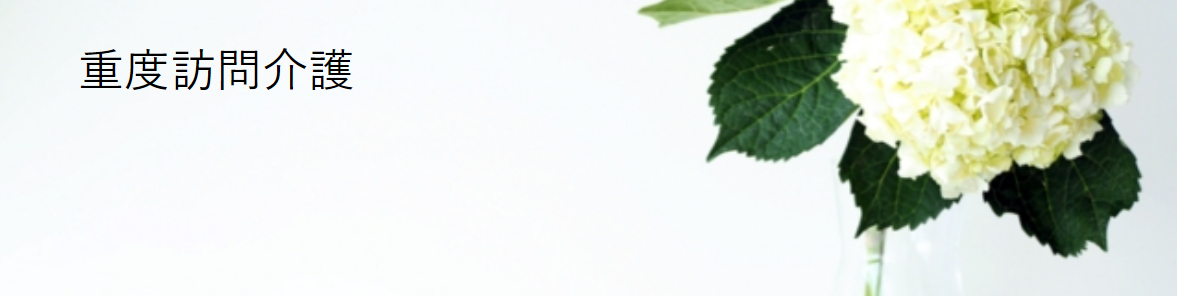 沖縄県宜野湾市・うるま市で展開する訪問介護TREE 公式サイト｜サービス紹介ページ内 重度訪問介護ヘッダー画像
